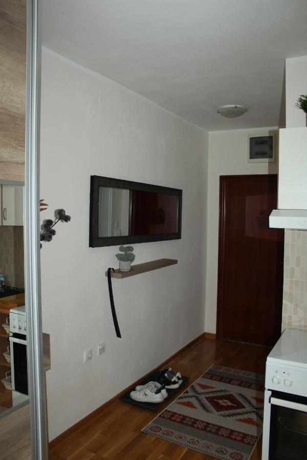Downtown Apartment ノヴィ・サド エクステリア 写真